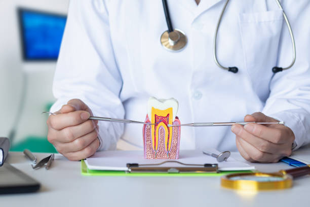 Best Urgent Dental Care for Toothache in Whidbey Island Station, WA